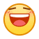 表情[hanxiao]-