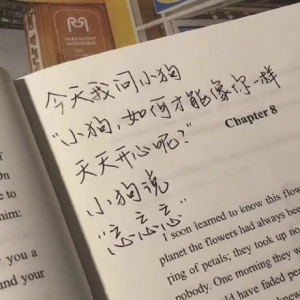 每日一曲：寂寞沙洲冷-