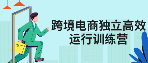 教你如何跨境电商独立高效运行训练营视频-