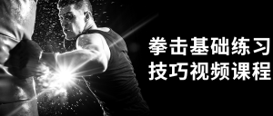 拳击基础练习技巧视频课程-