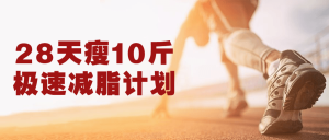 教你如何从28天瘦10斤极速减脂计划-