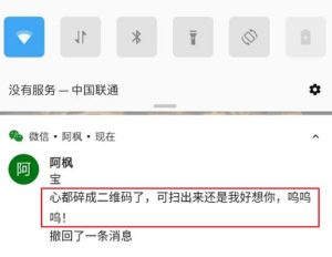 微信通知增强版 微信手机防撤回【安卓】-