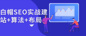 白帽SEO实战建站+算法+布局-