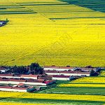 Ultility的头像-