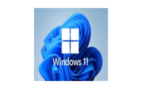 小修Windows11 22000.1880 专业精简版