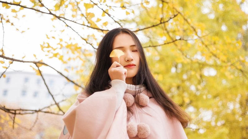 学校的银杏-