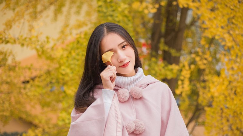 学校的银杏-
