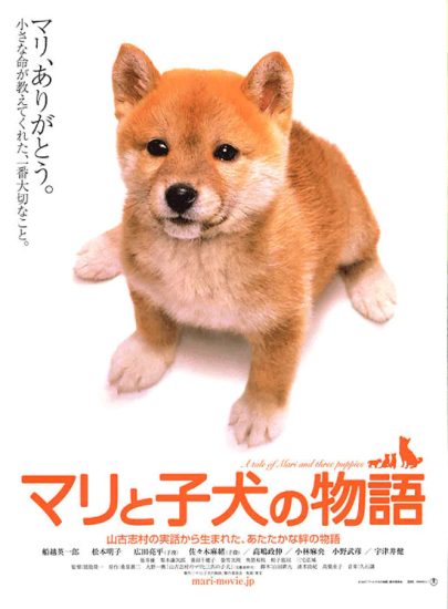 片名:爱犬的奇迹-