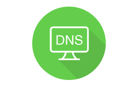 DNS优选设置工具v0.0.4.0 匹配DNS服务器 绿色便携版