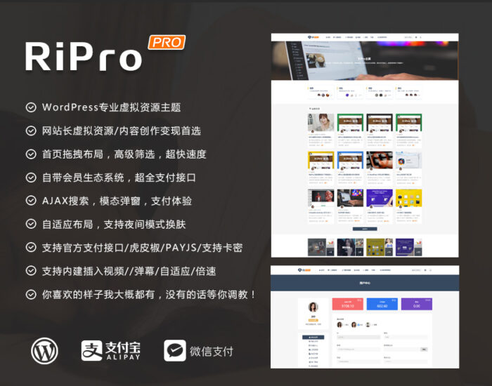 WordPress模板日主题RIPro主题 虚拟资源收费功能免登录支付和子主题全解版-