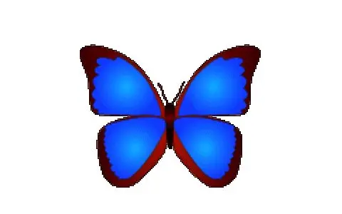 bkViewer （小巧精悍的数码照片浏览器）v7.6i-