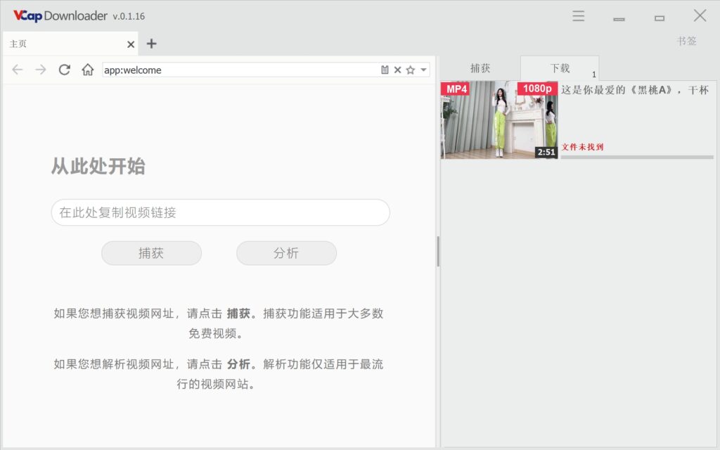 图片[1]-VCapDownloader v0.1.31.6535 各视频平台视频下载器绿色便携版