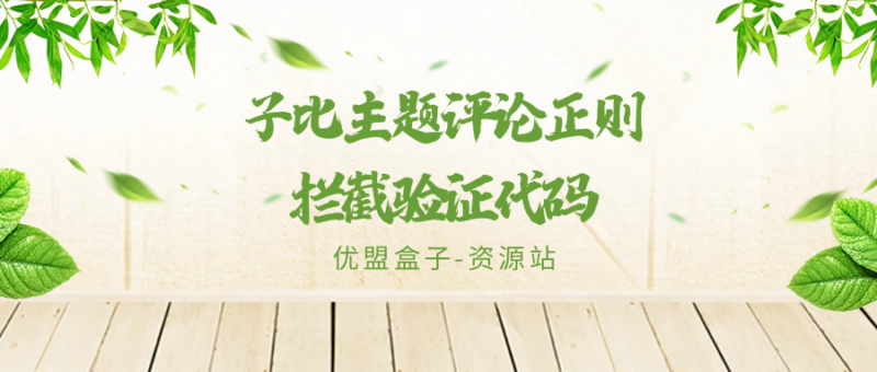子比主题评论正则拦截验证代码-