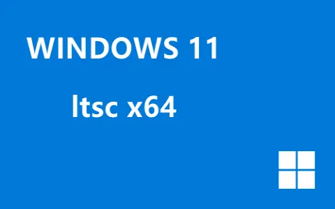 Windows 11 LTSC 2024 26100.1 简体中文版