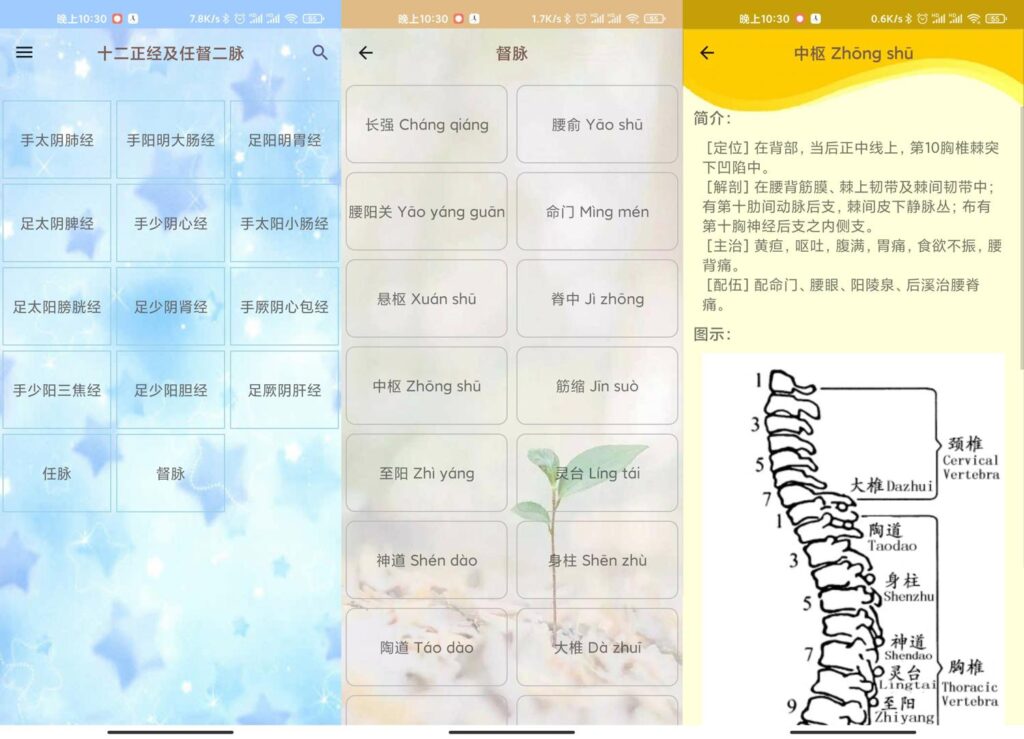 图片[1]-人体穴位图解v3.1.3离线版支持Android + ios版