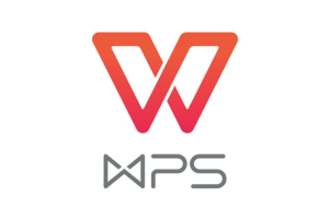 WPS Office 2023 ProPlus v12.8.2.21177 绿色便携版-