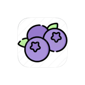蓝莓音乐极速版 v2.0 解锁去广告版-