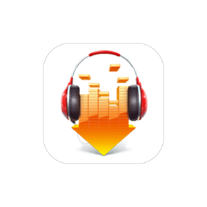DLNow Video Downloader v1.54.2025.04.01 在线视频下载器绿色版-