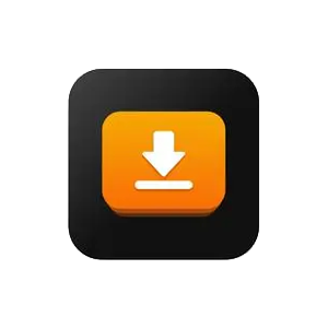 iDownerGo v10.2.3 在线流媒体视频下载器-