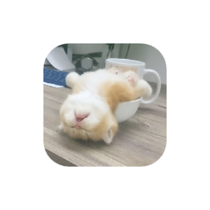奶瓶视频 v1.1.3  附带影视源 纯净版-