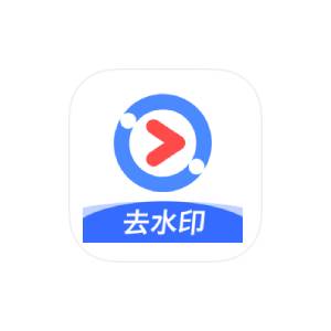 净印 v1.3 短视频去水印工具 高级版-