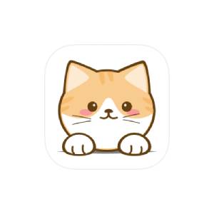 橘猫4K v3.1.0 纯净版-